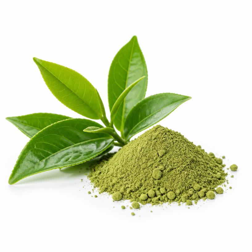 Green Tea Extract