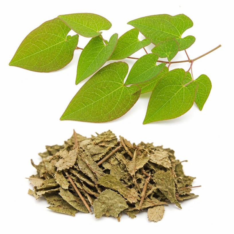 Horny Goat Weed
