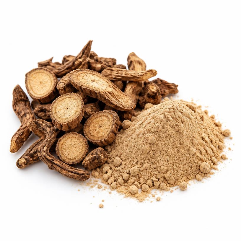 Sarsaparilla Root